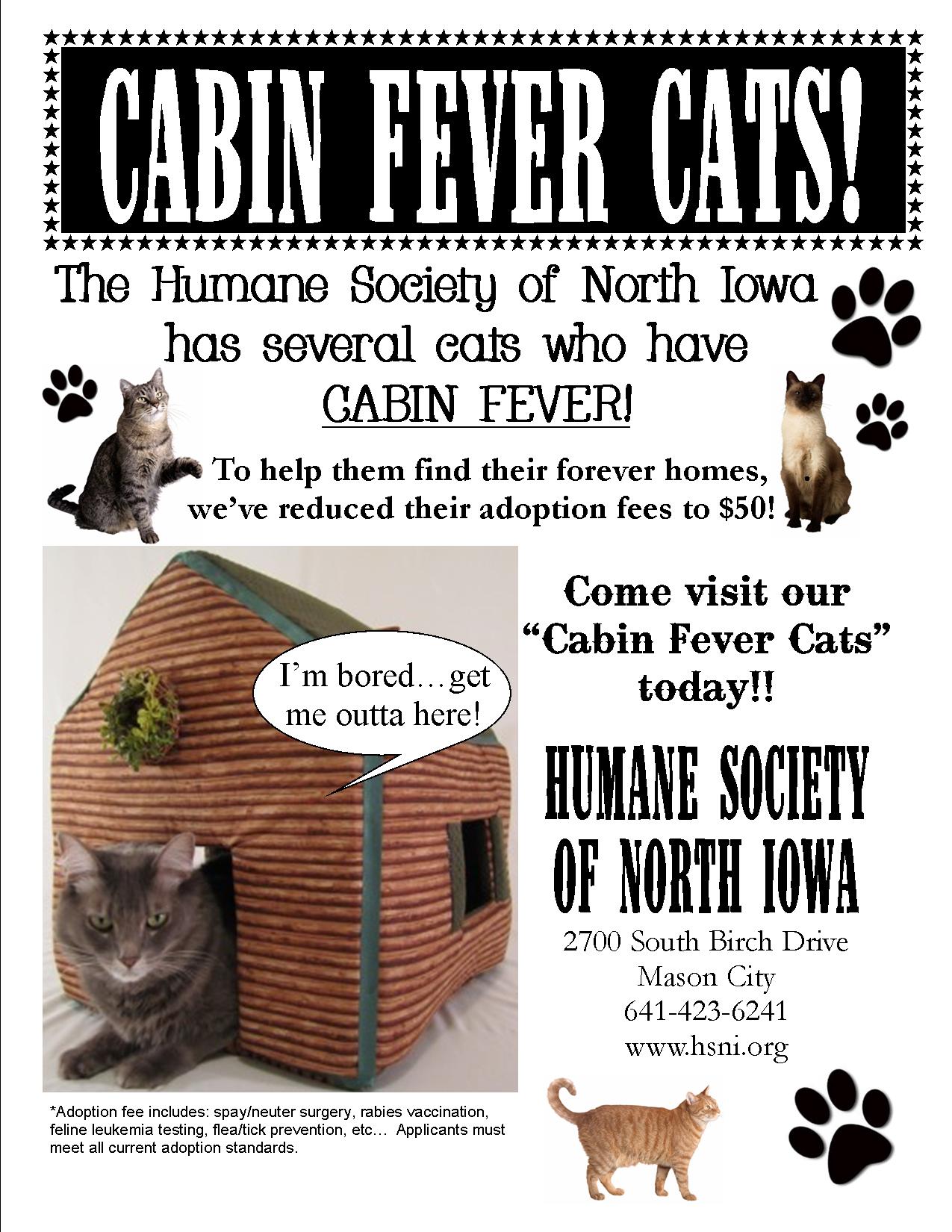 HUMANE SOCIETY OF NORTH IOWA Animals For Adoption HUMANE SOCIETY OF NORTH IOWA Animals For Adoption